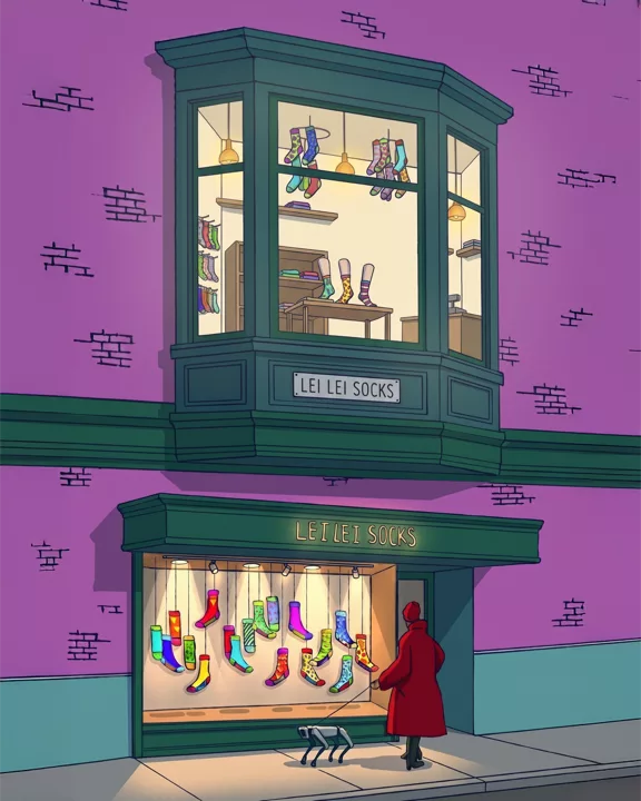 LeiLei Socks storefront illustration
